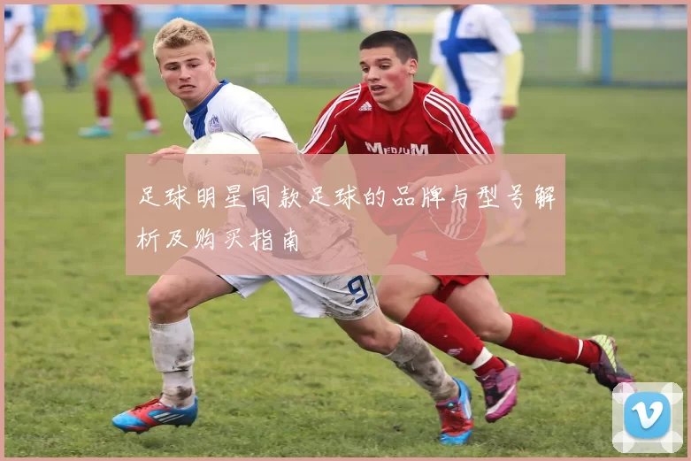 足球明星同款足球的品牌与型号解析及购买指南