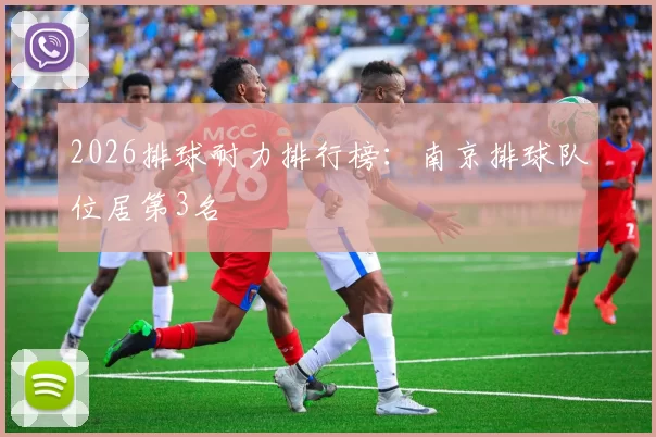 2026排球耐力排行榜：南京排球队位居第3名