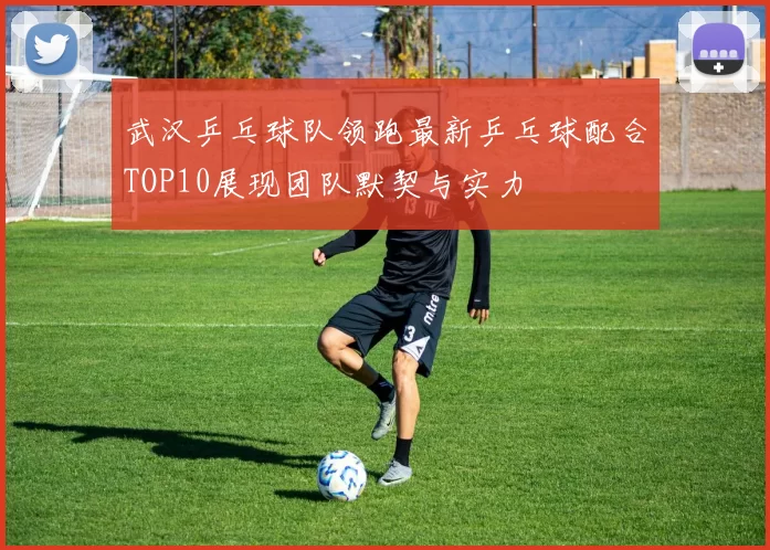 武汉乒乓球队领跑最新乒乓球配合TOP10展现团队默契与实力