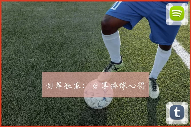 刘军独家：分享排球心得