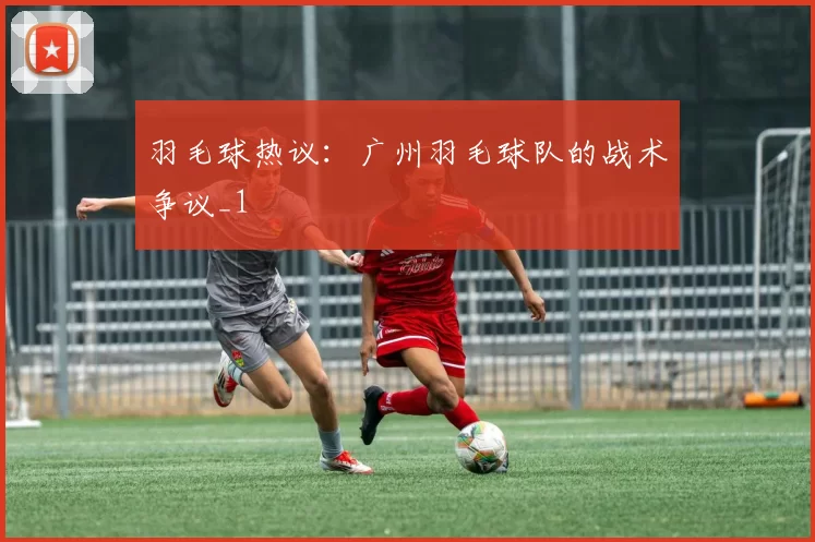 羽毛球热议：广州羽毛球队的战术争议_1