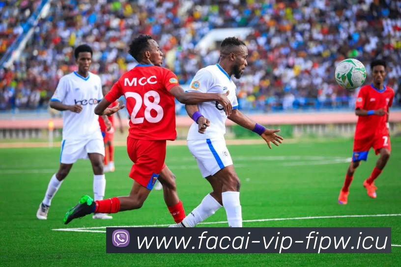 乐鱼体育发展历程